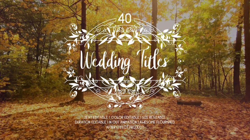 4 wedding title after effects project free download